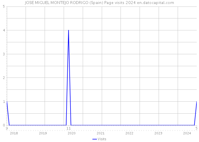 JOSE MIGUEL MONTEJO RODRIGO (Spain) Page visits 2024 