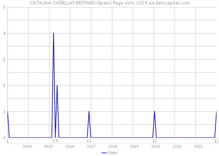 CATALINA CAÑELLAS BESTARD (Spain) Page visits 2024 