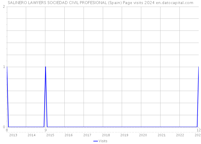 SALINERO LAWYERS SOCIEDAD CIVIL PROFESIONAL (Spain) Page visits 2024 