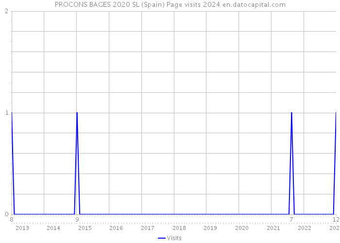PROCONS BAGES 2020 SL (Spain) Page visits 2024 