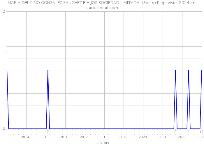 MARIA DEL PINO GONZALEZ SANCHEZ E HIJOS SOCIEDAD LIMITADA. (Spain) Page visits 2024 