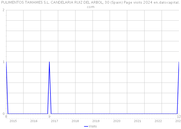 PULIMENTOS TAMAMES S.L. CANDELARIA RUIZ DEL ARBOL, 30 (Spain) Page visits 2024 