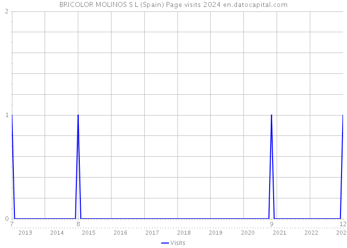 BRICOLOR MOLINOS S L (Spain) Page visits 2024 
