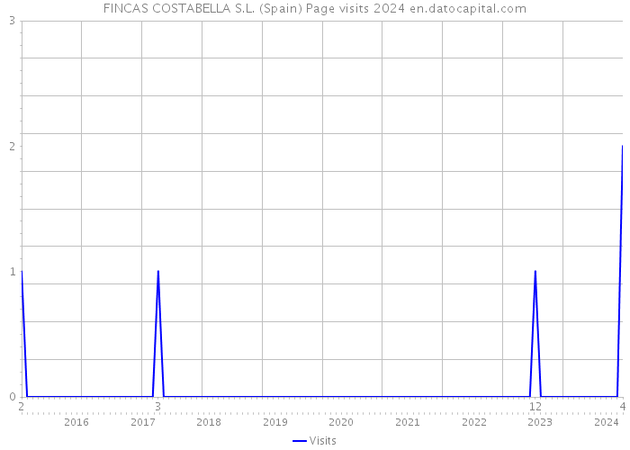 FINCAS COSTABELLA S.L. (Spain) Page visits 2024 