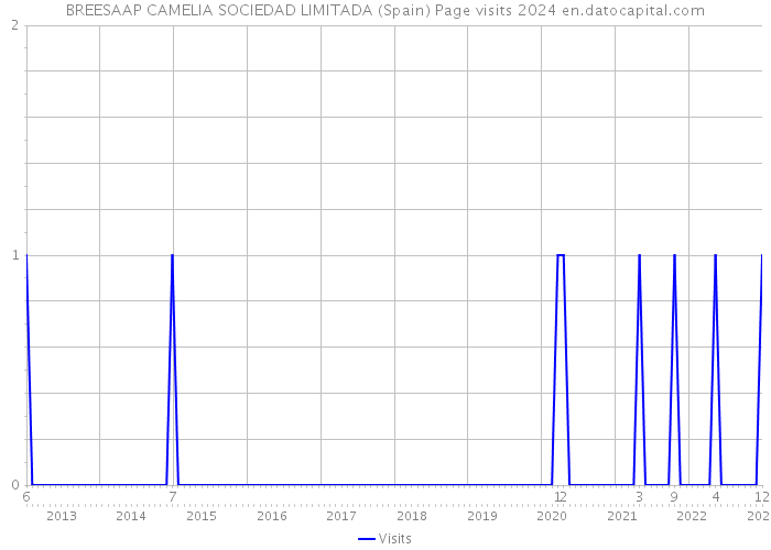 BREESAAP CAMELIA SOCIEDAD LIMITADA (Spain) Page visits 2024 