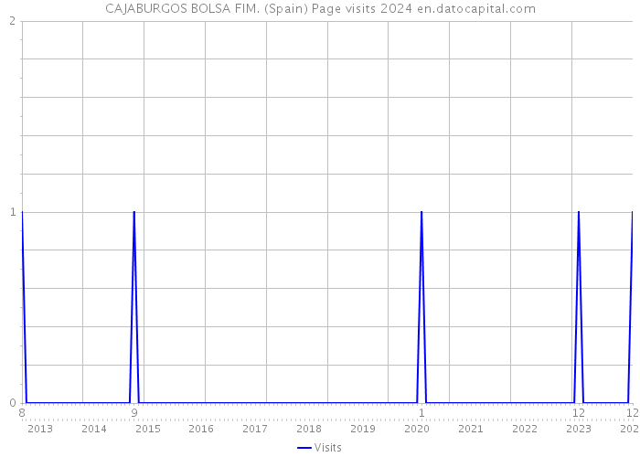 CAJABURGOS BOLSA FIM. (Spain) Page visits 2024 