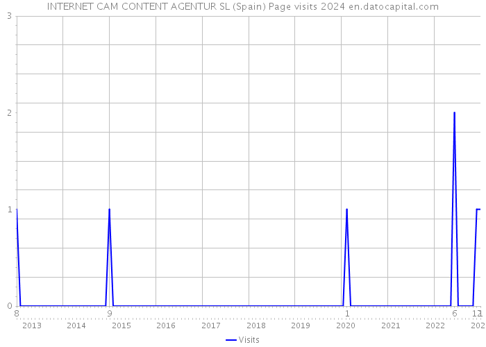 INTERNET CAM CONTENT AGENTUR SL (Spain) Page visits 2024 