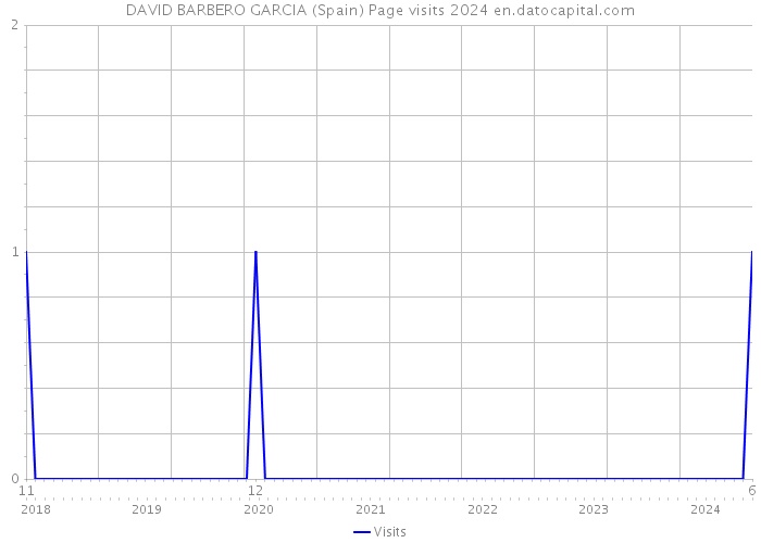 DAVID BARBERO GARCIA (Spain) Page visits 2024 