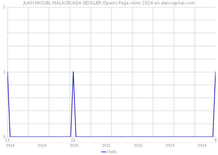 JUAN MIGUEL MALAGELADA SECKLER (Spain) Page visits 2024 