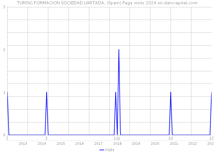 TURING FORMACION SOCIEDAD LIMITADA. (Spain) Page visits 2024 