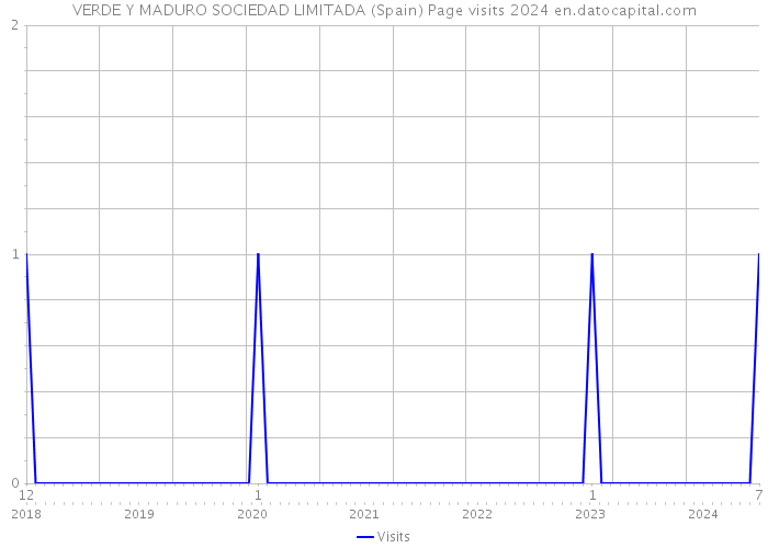 VERDE Y MADURO SOCIEDAD LIMITADA (Spain) Page visits 2024 