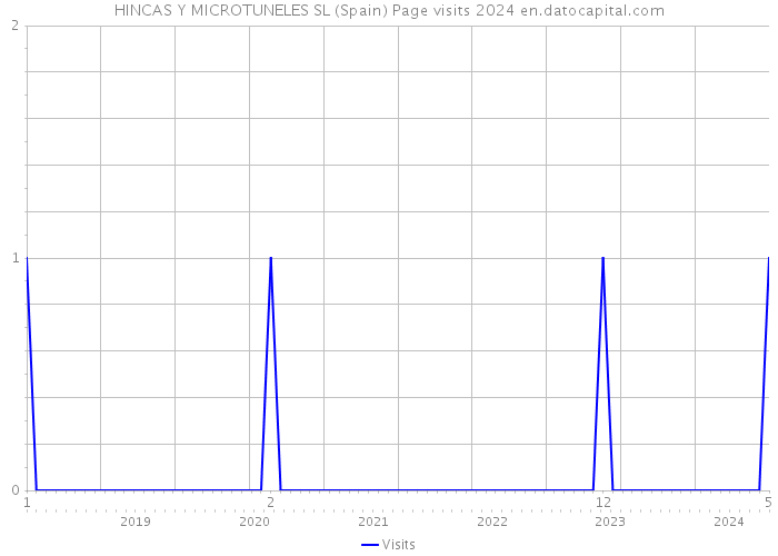 HINCAS Y MICROTUNELES SL (Spain) Page visits 2024 