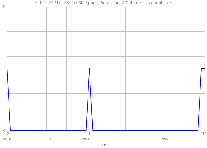 AUTO RAPID PASTOR SL (Spain) Page visits 2024 