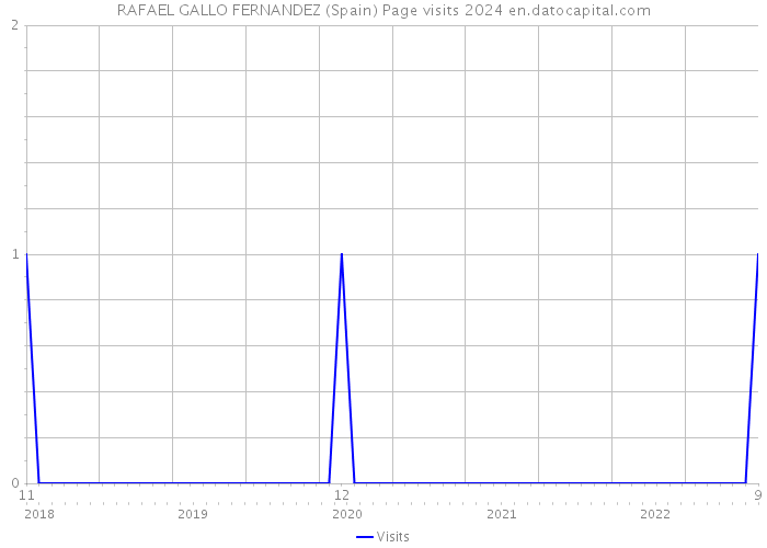 RAFAEL GALLO FERNANDEZ (Spain) Page visits 2024 