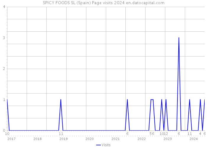 SPICY FOODS SL (Spain) Page visits 2024 