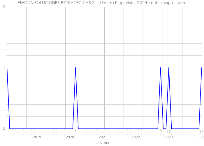 FIHOCA SOLUCIONES ESTRATEGICAS S.L. (Spain) Page visits 2024 
