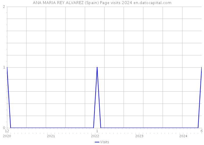 ANA MARIA REY ALVAREZ (Spain) Page visits 2024 