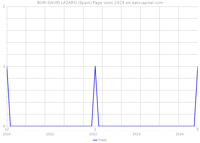 BORI DAVID LAZARO (Spain) Page visits 2024 