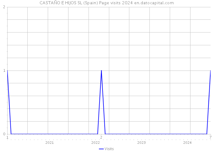 CASTAÑO E HIJOS SL (Spain) Page visits 2024 