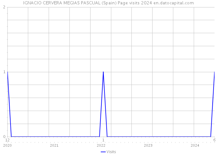 IGNACIO CERVERA MEGIAS PASCUAL (Spain) Page visits 2024 