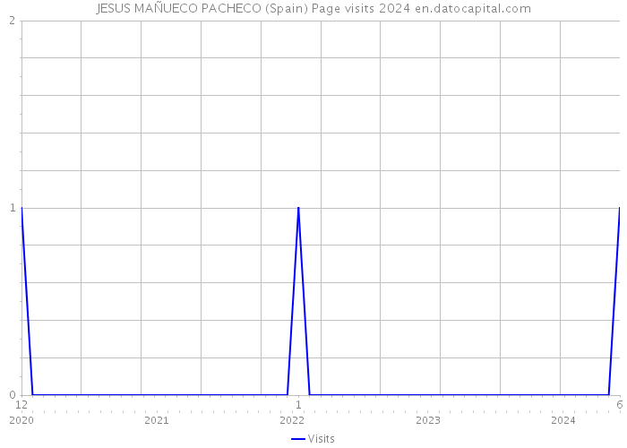 JESUS MAÑUECO PACHECO (Spain) Page visits 2024 