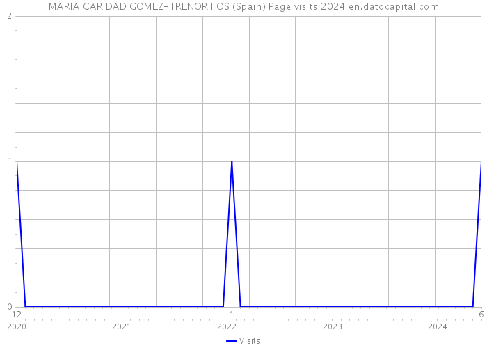 MARIA CARIDAD GOMEZ-TRENOR FOS (Spain) Page visits 2024 