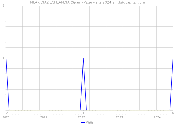 PILAR DIAZ ECHEANDIA (Spain) Page visits 2024 