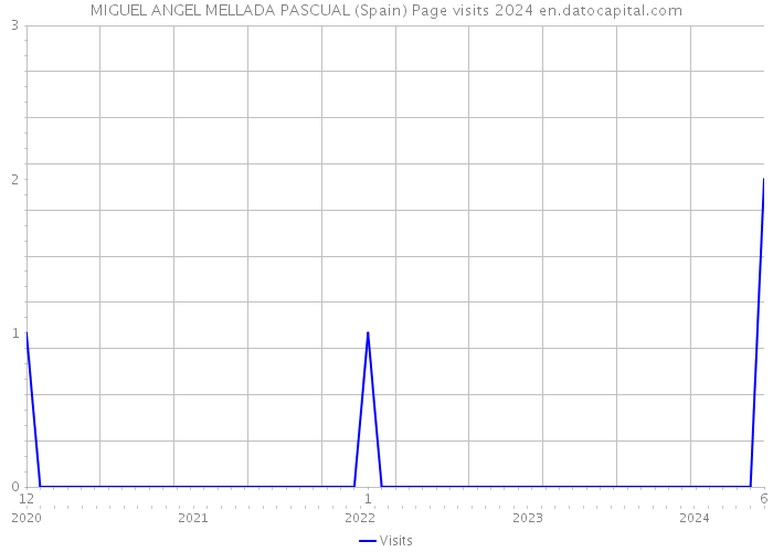 MIGUEL ANGEL MELLADA PASCUAL (Spain) Page visits 2024 