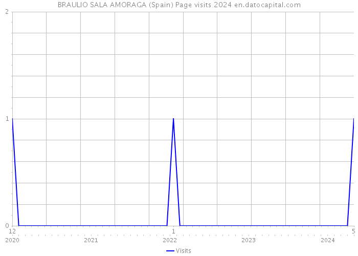 BRAULIO SALA AMORAGA (Spain) Page visits 2024 