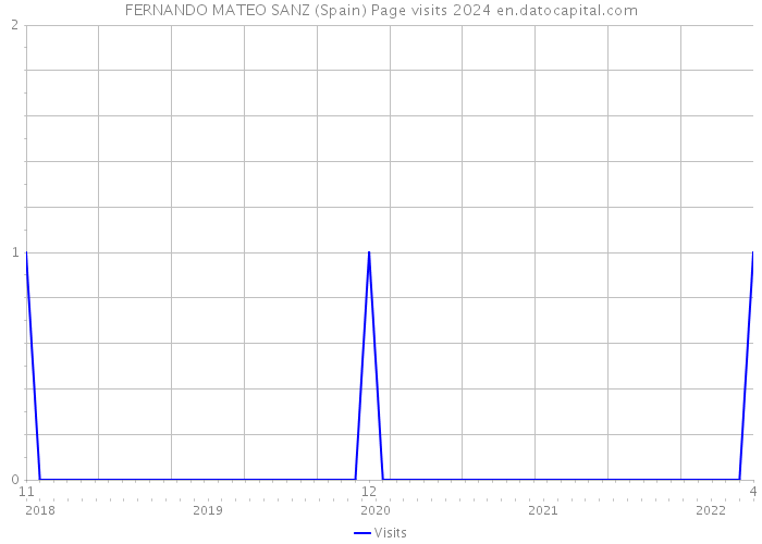 FERNANDO MATEO SANZ (Spain) Page visits 2024 