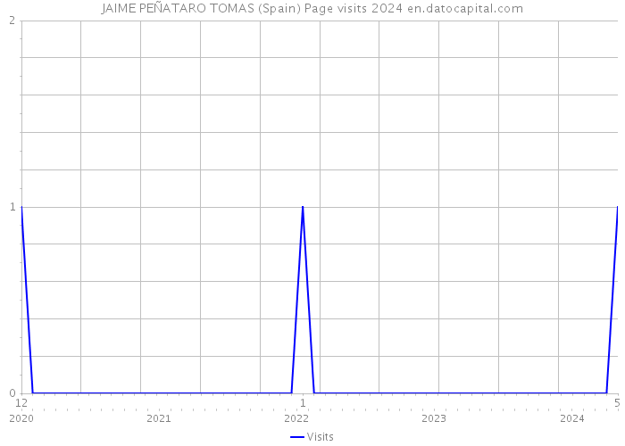 JAIME PEÑATARO TOMAS (Spain) Page visits 2024 