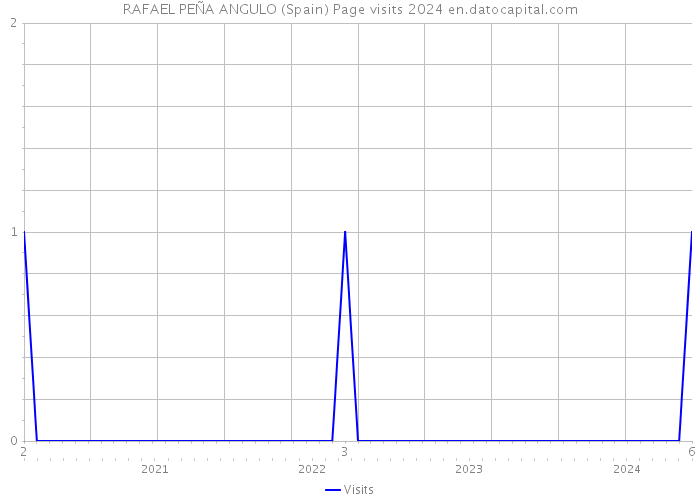 RAFAEL PEÑA ANGULO (Spain) Page visits 2024 