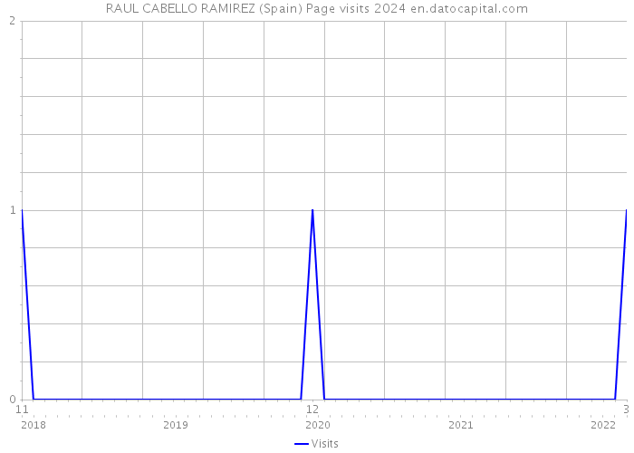 RAUL CABELLO RAMIREZ (Spain) Page visits 2024 