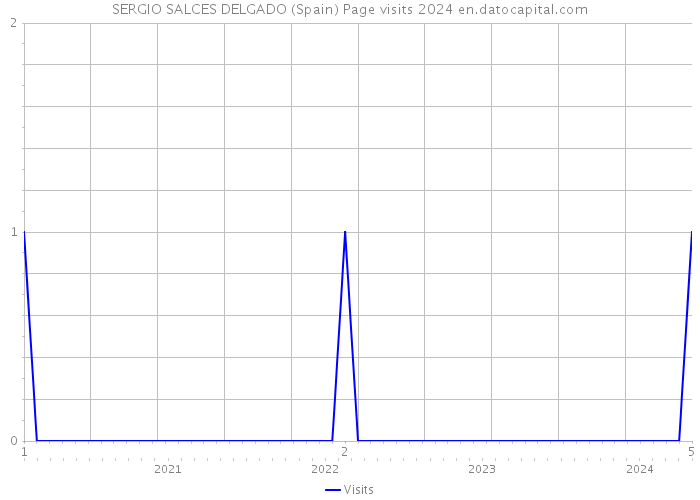 SERGIO SALCES DELGADO (Spain) Page visits 2024 