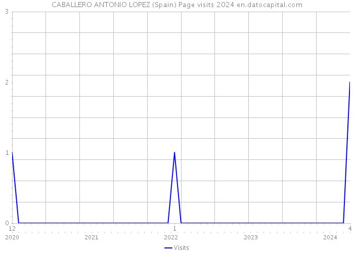 CABALLERO ANTONIO LOPEZ (Spain) Page visits 2024 