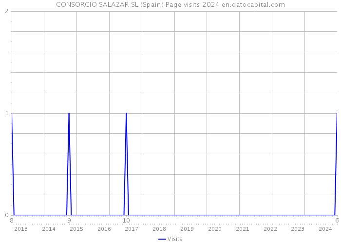 CONSORCIO SALAZAR SL (Spain) Page visits 2024 