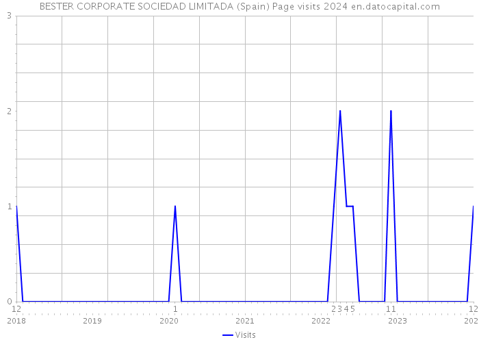 BESTER CORPORATE SOCIEDAD LIMITADA (Spain) Page visits 2024 