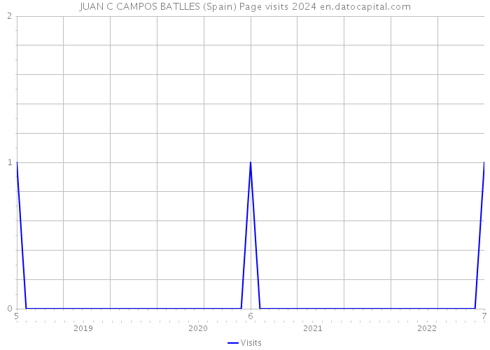 JUAN C CAMPOS BATLLES (Spain) Page visits 2024 