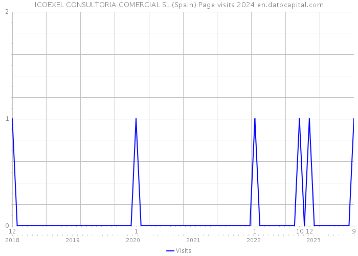 ICOEXEL CONSULTORIA COMERCIAL SL (Spain) Page visits 2024 