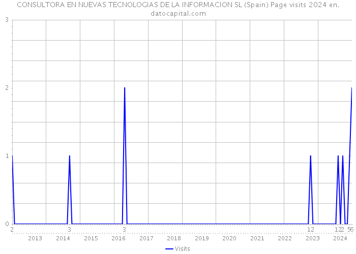 CONSULTORA EN NUEVAS TECNOLOGIAS DE LA INFORMACION SL (Spain) Page visits 2024 