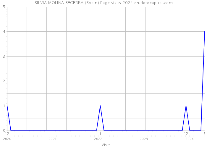 SILVIA MOLINA BECERRA (Spain) Page visits 2024 