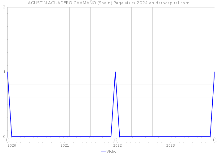 AGUSTIN AGUADERO CAAMAÑO (Spain) Page visits 2024 