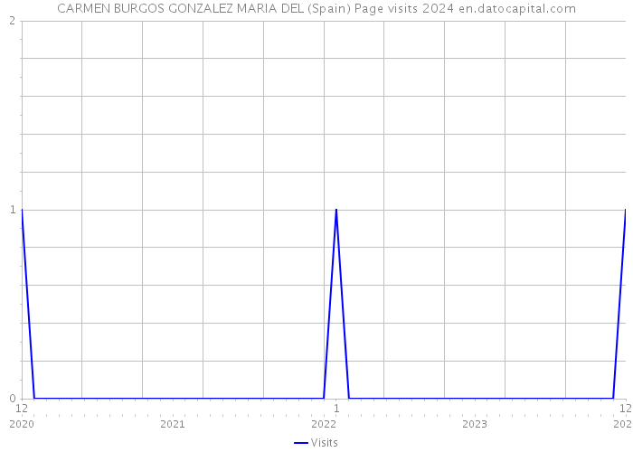 CARMEN BURGOS GONZALEZ MARIA DEL (Spain) Page visits 2024 