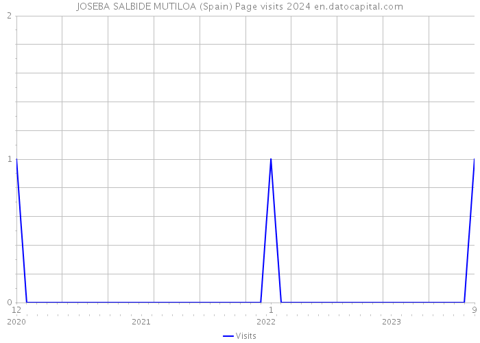 JOSEBA SALBIDE MUTILOA (Spain) Page visits 2024 