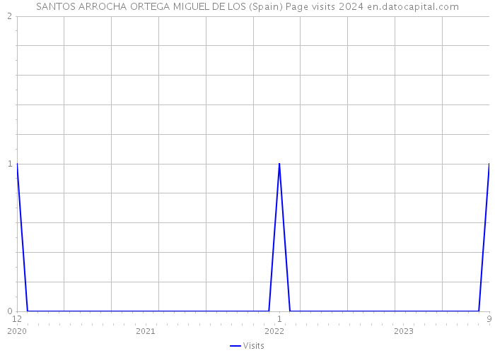 SANTOS ARROCHA ORTEGA MIGUEL DE LOS (Spain) Page visits 2024 