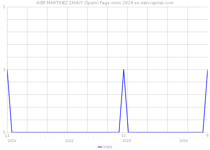 IKER MARTINEZ ZANUY (Spain) Page visits 2024 