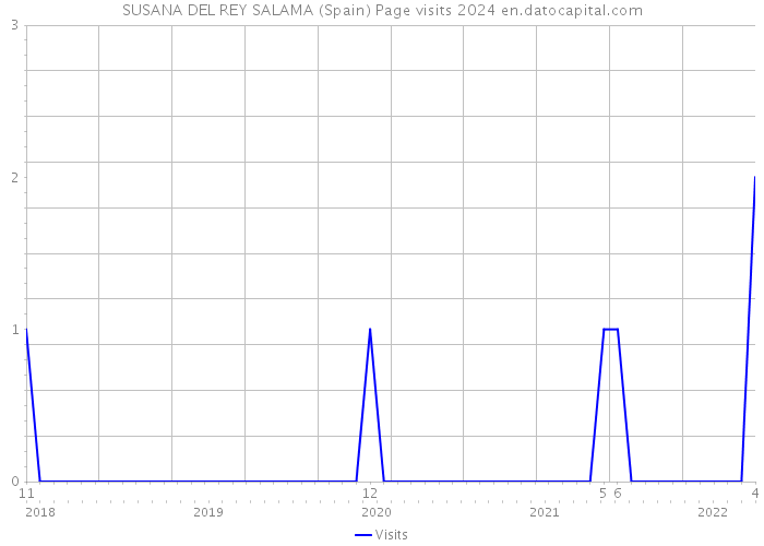 SUSANA DEL REY SALAMA (Spain) Page visits 2024 