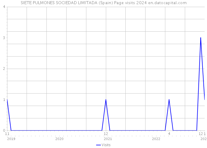 SIETE PULMONES SOCIEDAD LIMITADA (Spain) Page visits 2024 