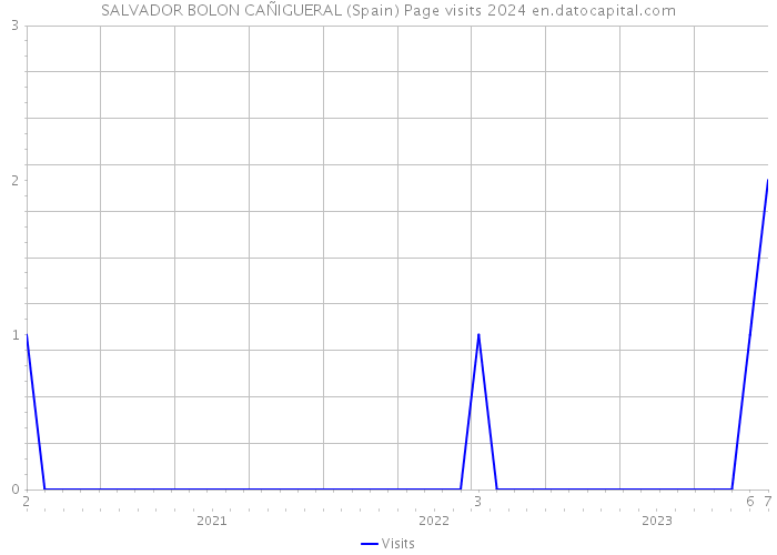 SALVADOR BOLON CAÑIGUERAL (Spain) Page visits 2024 