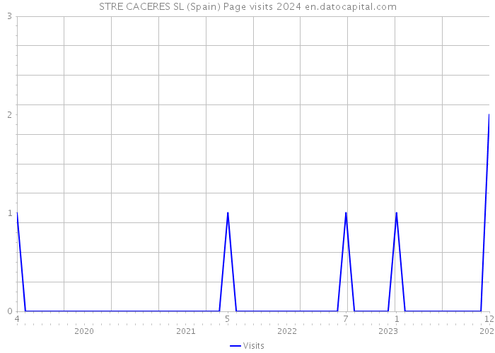 STRE CACERES SL (Spain) Page visits 2024 